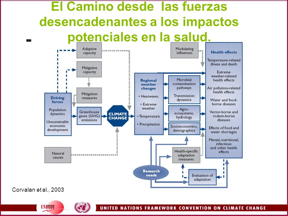 El Camino desde las fuerzas desencadenantes a los impactos potenciales en la salud.