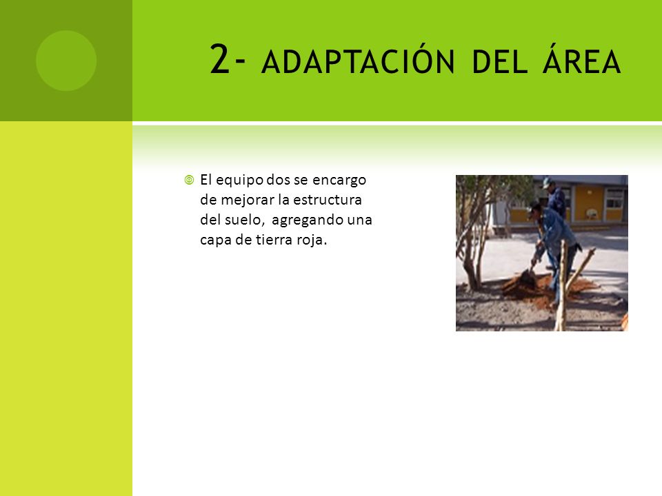 2- adaptación del área El equipo dos se encargo de mejorar la estructura del suelo, agregando una capa de tierra roja.