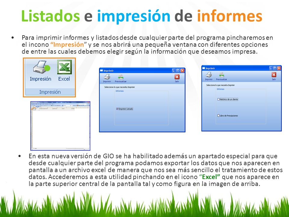 Listados e impresión de informes