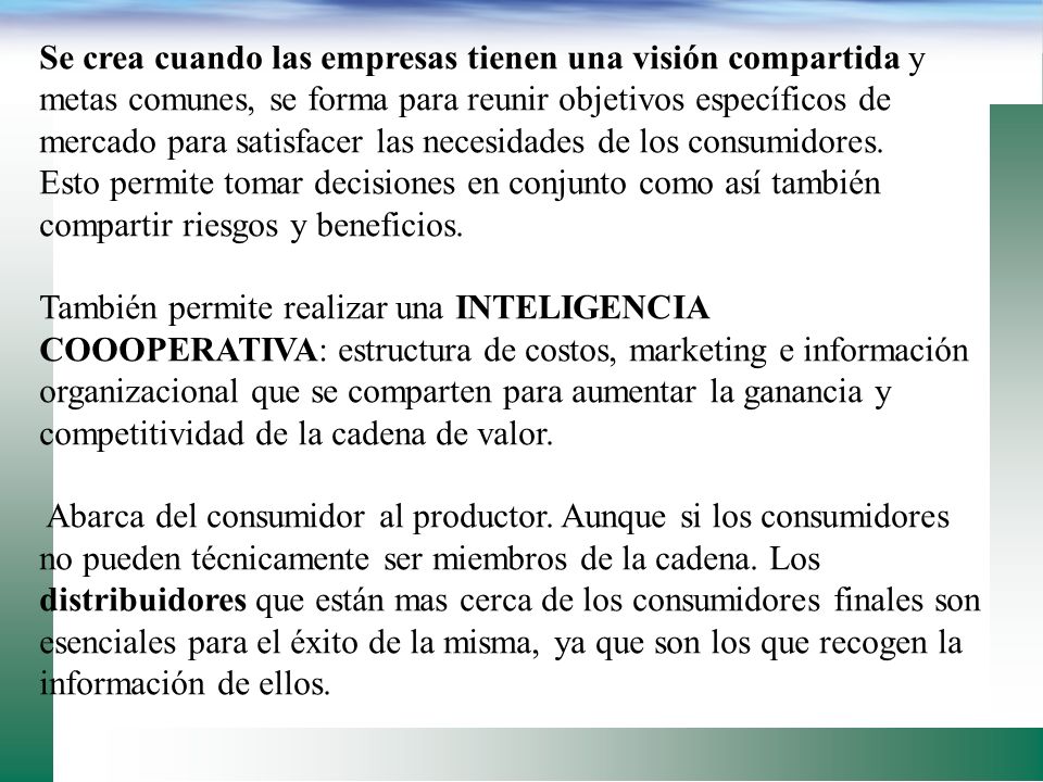 Se crea cuando las empresas tienen una visión compartida y metas comunes, se forma para reunir objetivos específicos de mercado para satisfacer las necesidades de los consumidores.
