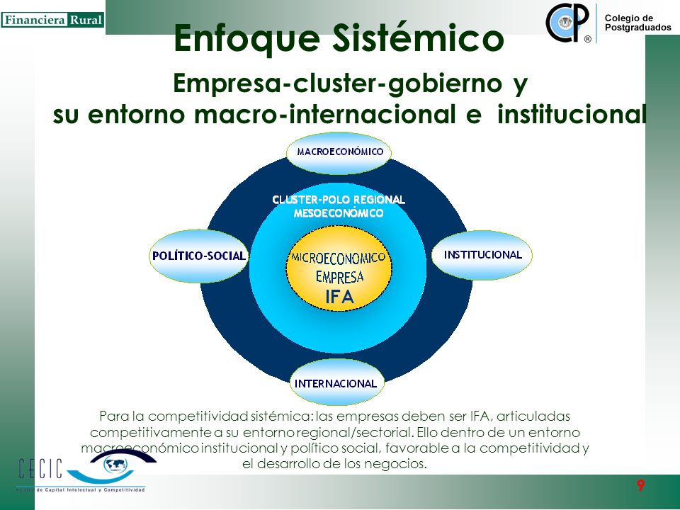 Enfoque Sistémico Empresa-cluster-gobierno y su entorno macro-internacional e institucional.