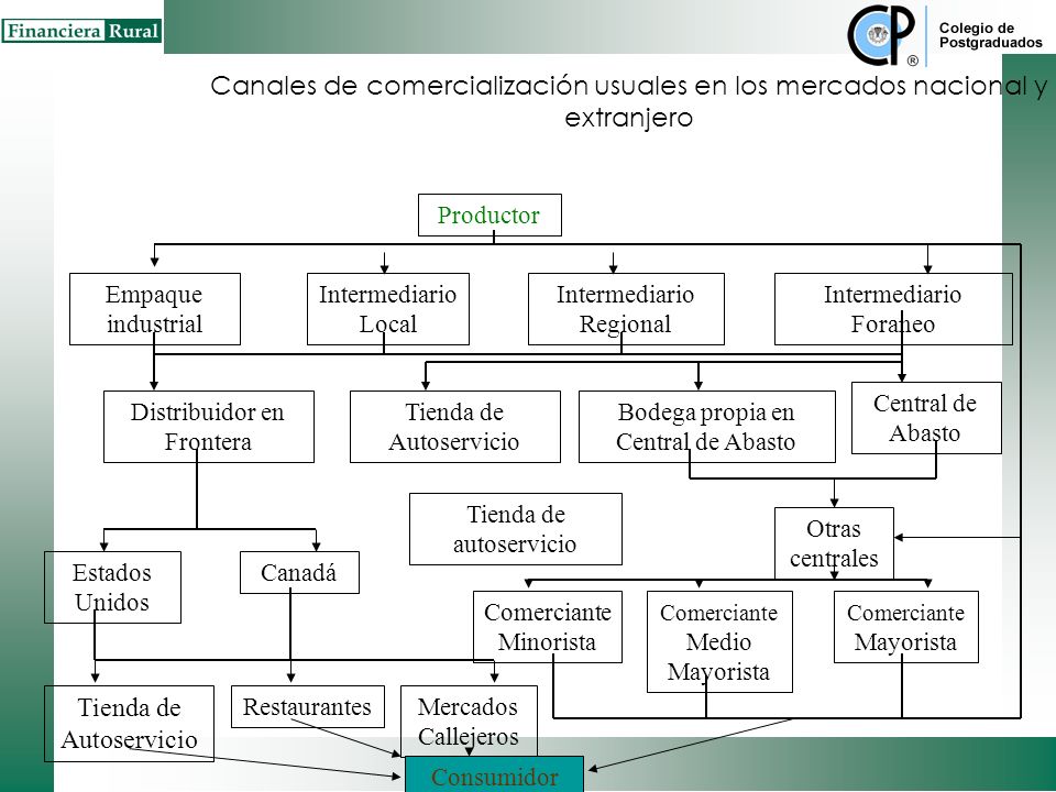 Canales de comercialización usuales en los mercados nacional y extranjero