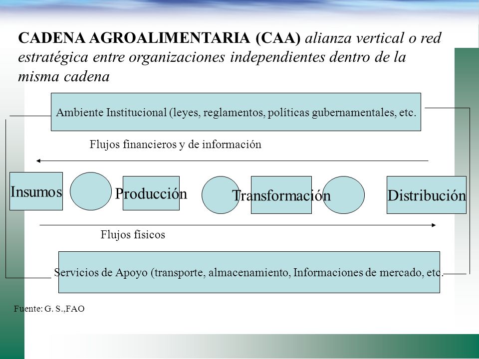 CADENA AGROALIMENTARIA (CAA) alianza vertical o red estratégica entre organizaciones independientes dentro de la misma cadena