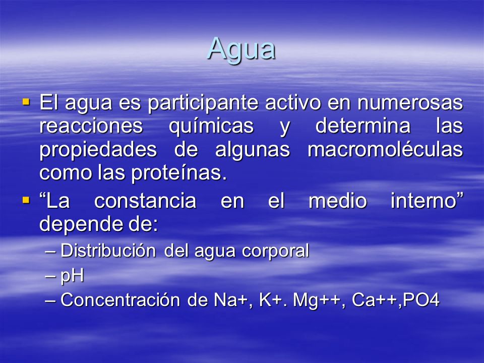 Agua El agua es participante activo en numerosas reacciones químicas y determina las propiedades de algunas macromoléculas como las proteínas.