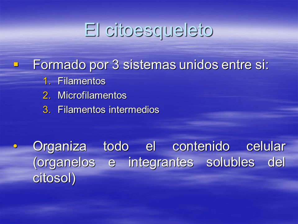 El citoesqueleto Formado por 3 sistemas unidos entre si: