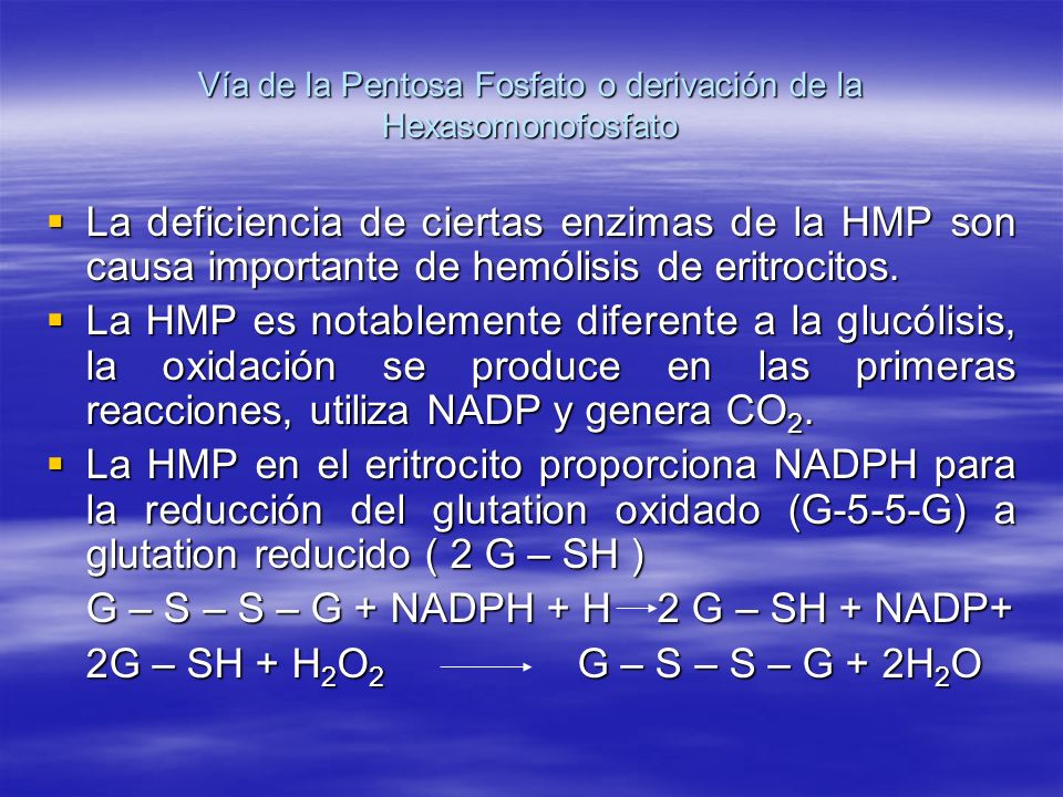 Vía de la Pentosa Fosfato o derivación de la Hexasomonofosfato