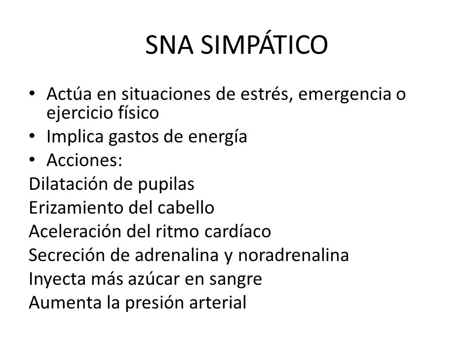 SNA SIMPÁTICO Actúa en situaciones de estrés, emergencia o ejercicio físico. Implica gastos de energía.
