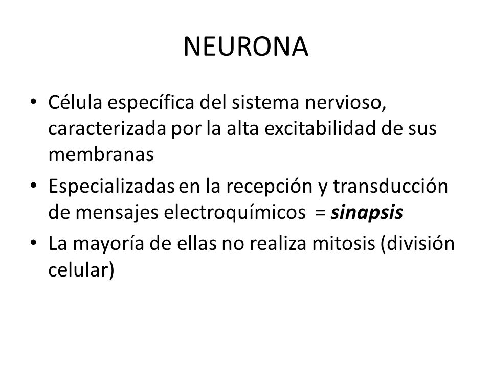 NEURONA Célula específica del sistema nervioso, caracterizada por la alta excitabilidad de sus membranas.