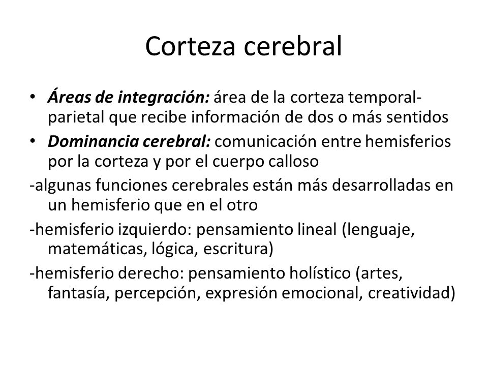 Corteza cerebral Áreas de integración: área de la corteza temporal-parietal que recibe información de dos o más sentidos.