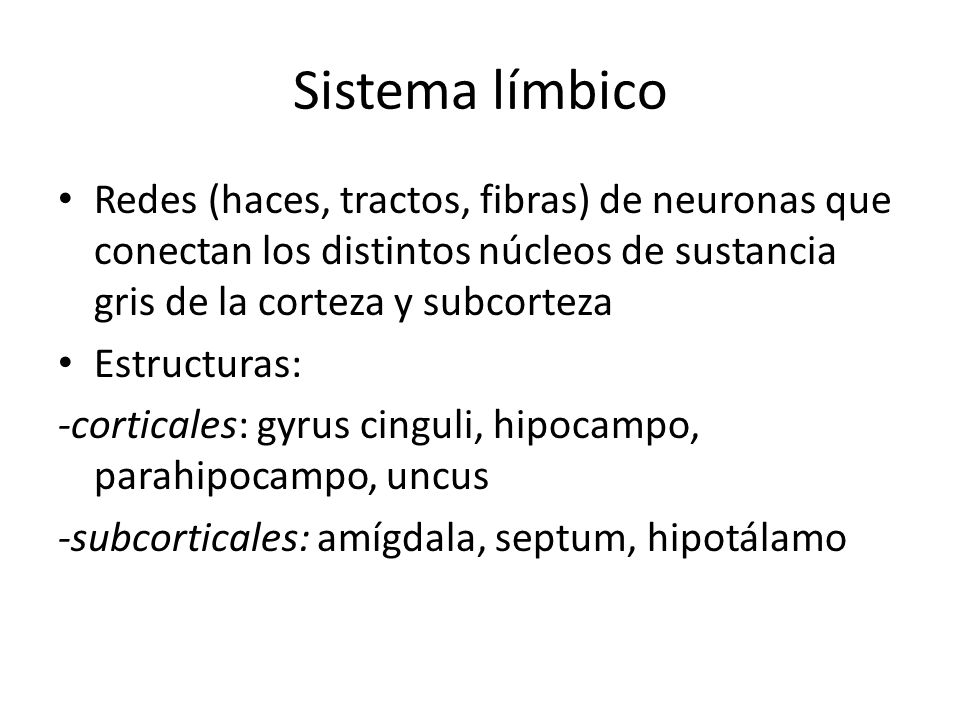 Sistema límbico Redes (haces, tractos, fibras) de neuronas que conectan los distintos núcleos de sustancia gris de la corteza y subcorteza.
