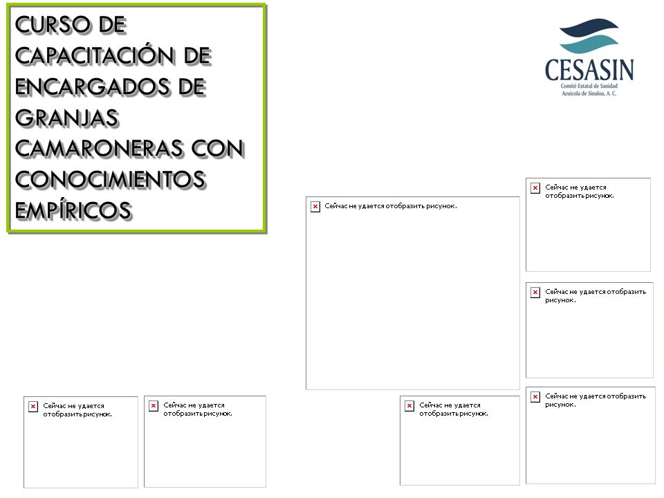 CURSO DE CAPACITACIÓN DE ENCARGADOS DE GRANJAS CAMARONERAS CON CONOCIMIENTOS EMPÍRICOS