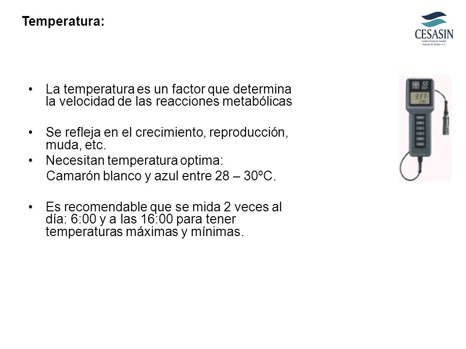 Temperatura: La temperatura es un factor que determina la velocidad de las reacciones metabólicas.