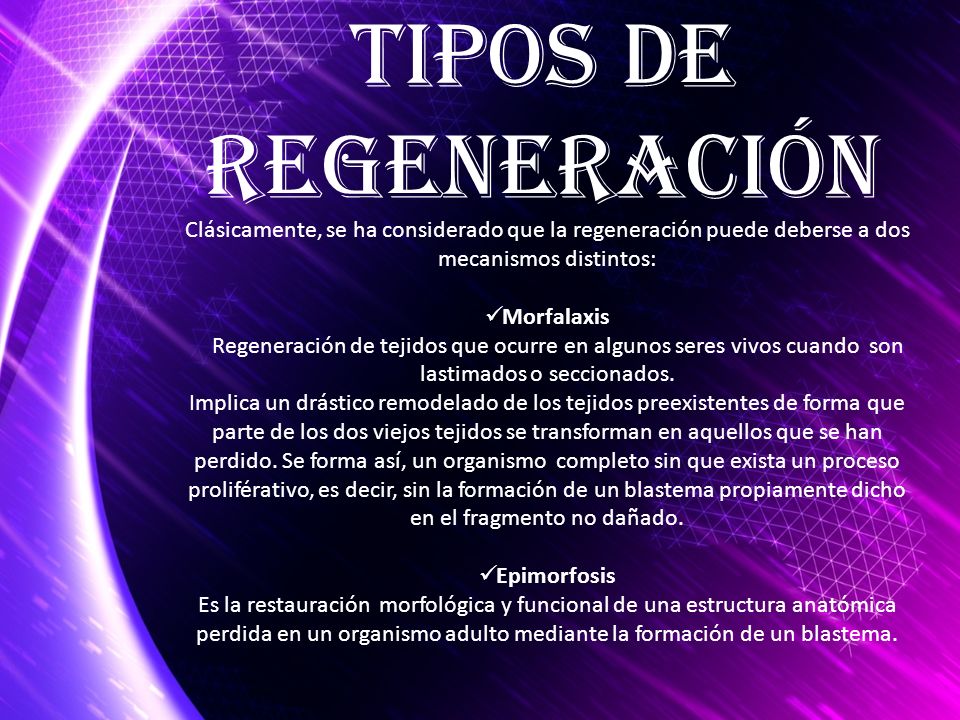 TIPOS DE Regeneración. Clásicamente, se ha considerado que la regeneración puede deberse a dos mecanismos distintos: