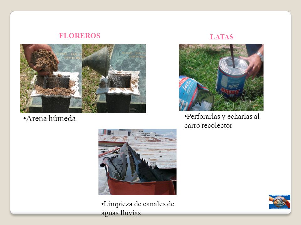 Arena húmeda FLOREROS LATAS Perforarlas y echarlas al carro recolector