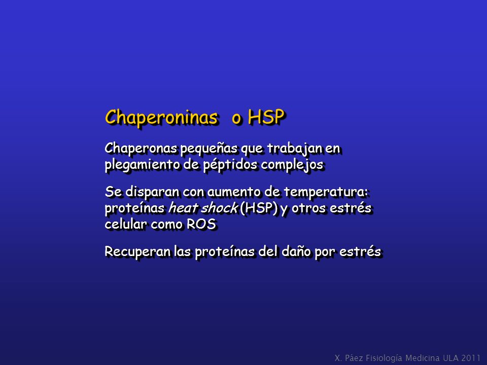 Chaperoninas o HSP Chaperonas pequeñas que trabajan en plegamiento de péptidos complejos.