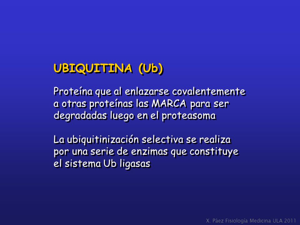 UBIQUITINA (Ub) Proteína que al enlazarse covalentemente a otras proteínas las MARCA para ser degradadas luego en el proteasoma.