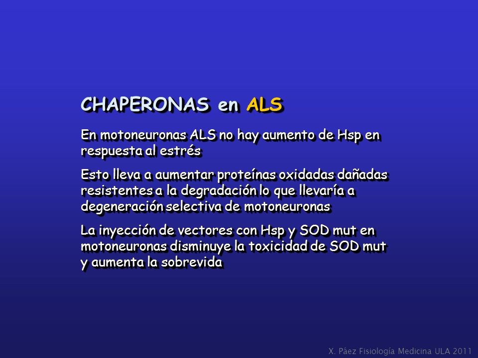 CHAPERONAS en ALS En motoneuronas ALS no hay aumento de Hsp en respuesta al estrés.