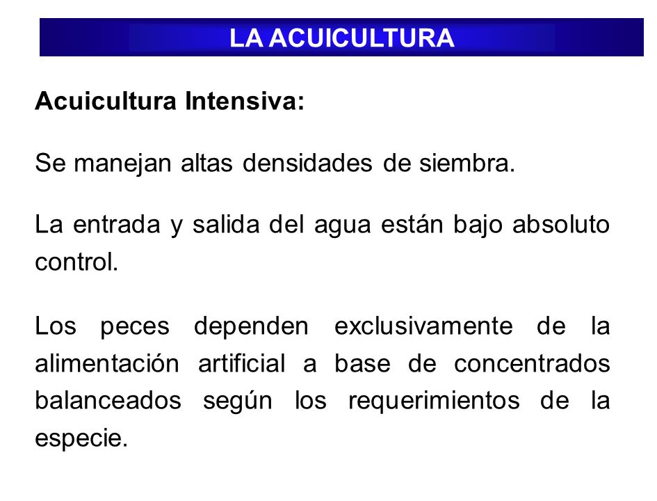LA ACUICULTURA Acuicultura Intensiva: Se manejan altas densidades de siembra. La entrada y salida del agua están bajo absoluto control.
