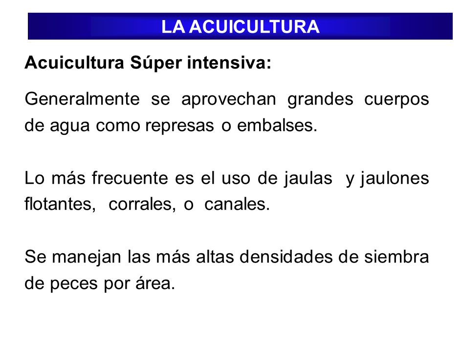 LA ACUICULTURA Acuicultura Súper intensiva: Generalmente se aprovechan grandes cuerpos de agua como represas o embalses.