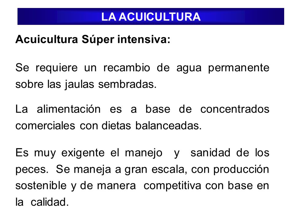 LA ACUICULTURA Acuicultura Súper intensiva: Se requiere un recambio de agua permanente sobre las jaulas sembradas.