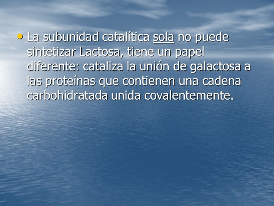 La subunidad catalítica sola no puede sintetizar Lactosa, tiene un papel diferente: cataliza la unión de galactosa a las proteínas que contienen una cadena carbohidratada unida covalentemente.