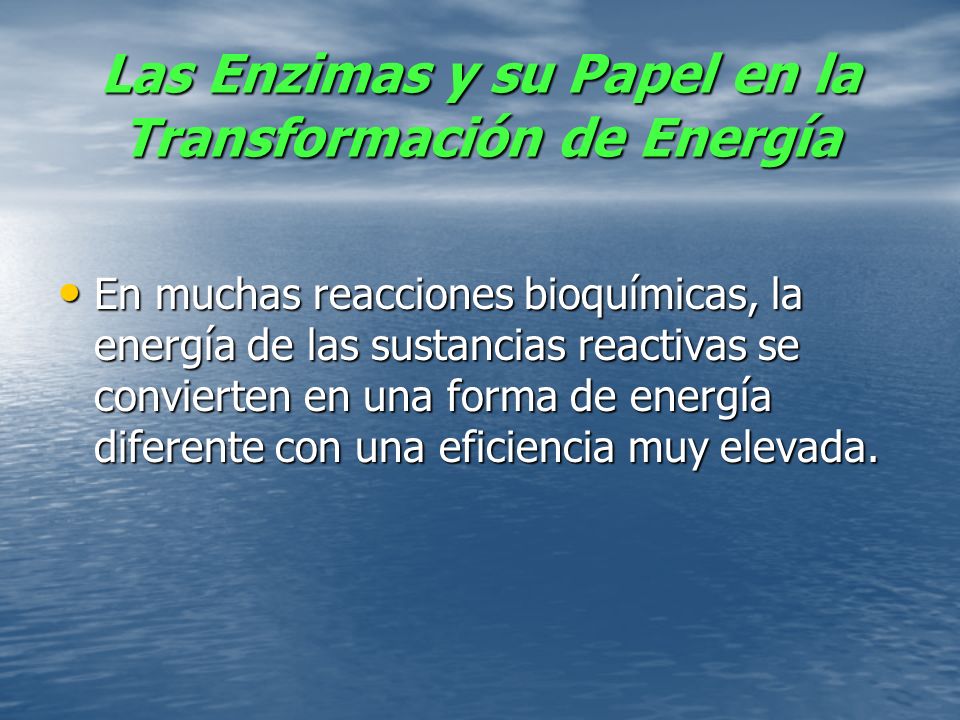 Las Enzimas y su Papel en la Transformación de Energía