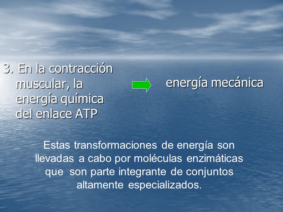 3. En la contracción muscular, la energía química del enlace ATP