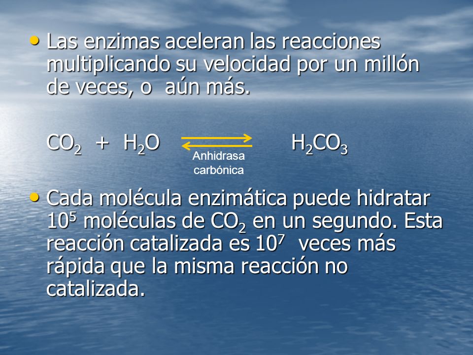 Las enzimas aceleran las reacciones multiplicando su velocidad por un millón de veces, o aún más.