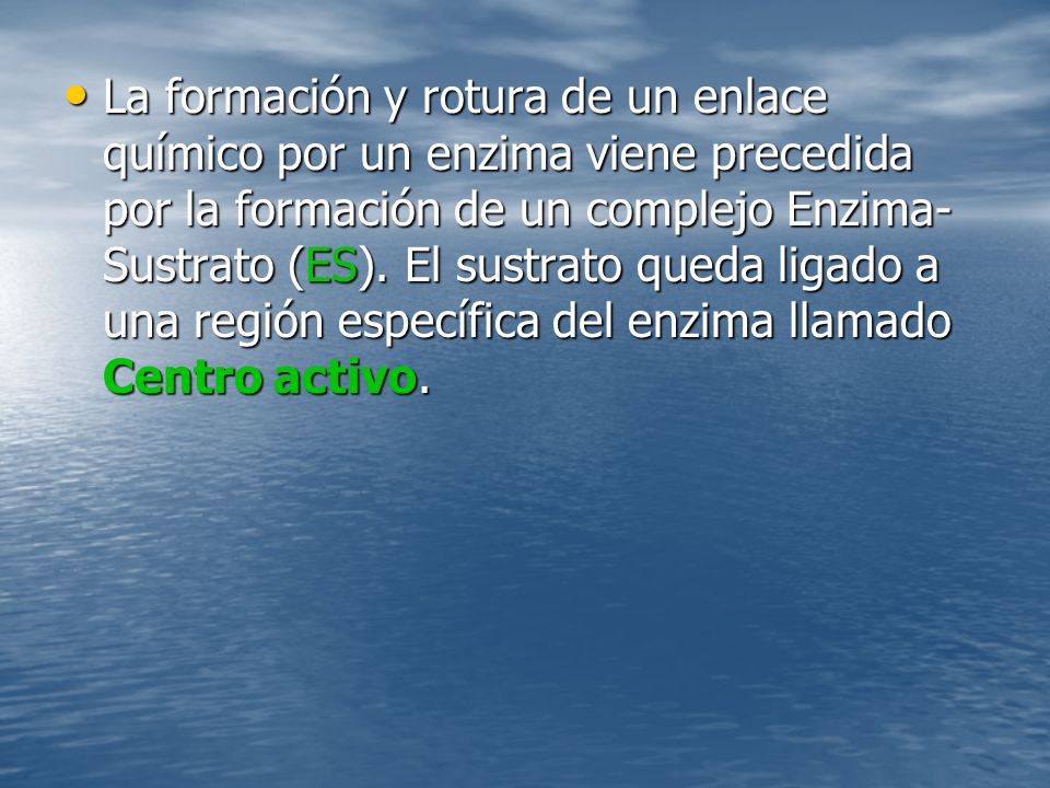 La formación y rotura de un enlace químico por un enzima viene precedida por la formación de un complejo Enzima-Sustrato (ES).