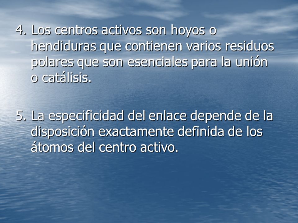 4. Los centros activos son hoyos o hendiduras que contienen varios residuos polares que son esenciales para la unión o catálisis.