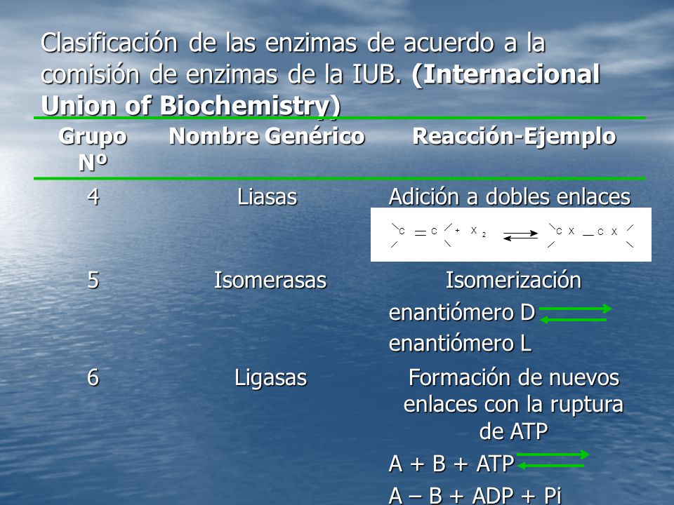 Formación de nuevos enlaces con la ruptura de ATP