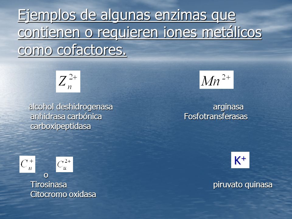 Ejemplos de algunas enzimas que contienen o requieren iones metálicos como cofactores.