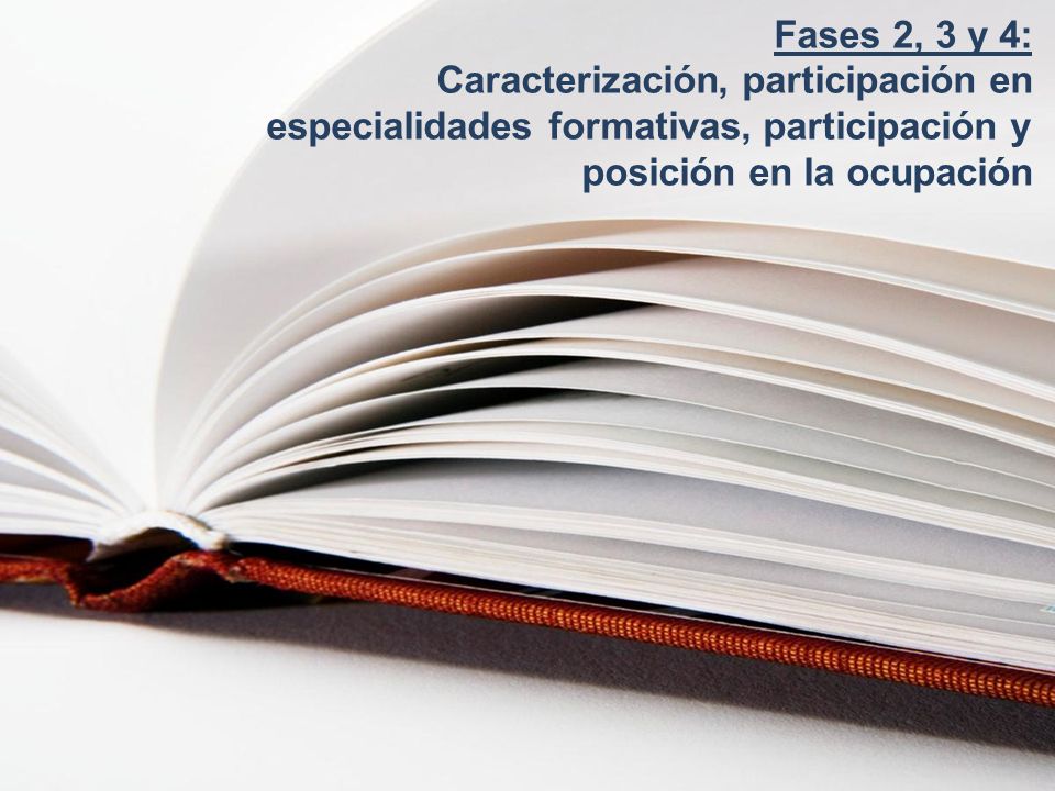 Fases 2, 3 y 4: Caracterización, participación en especialidades formativas, participación y posición en la ocupación.
