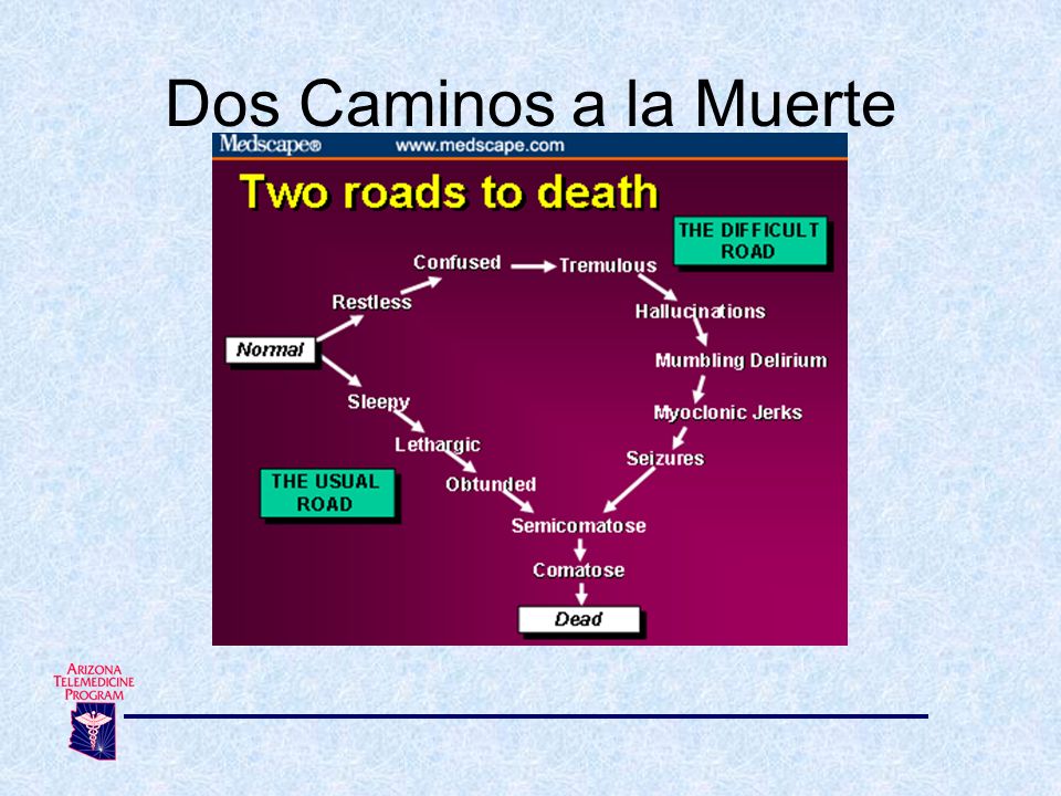 Dos Caminos a la Muerte 12. Camino a la muerte - Dos caminos a la muerte. confused= confundido/a.