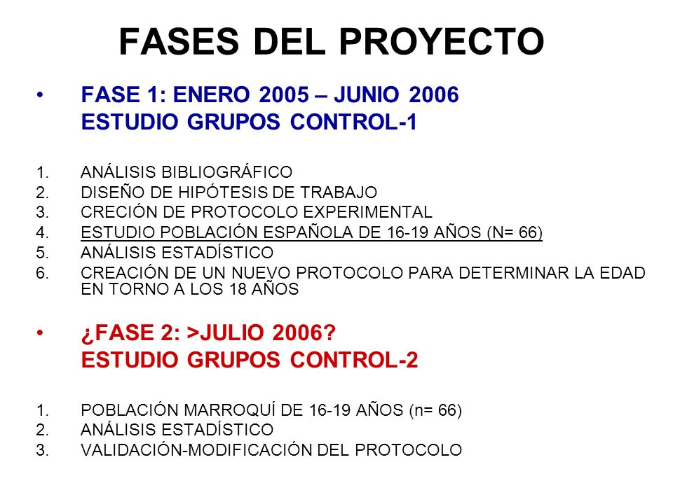 FASES DEL PROYECTO FASE 1: ENERO 2005 – JUNIO 2006