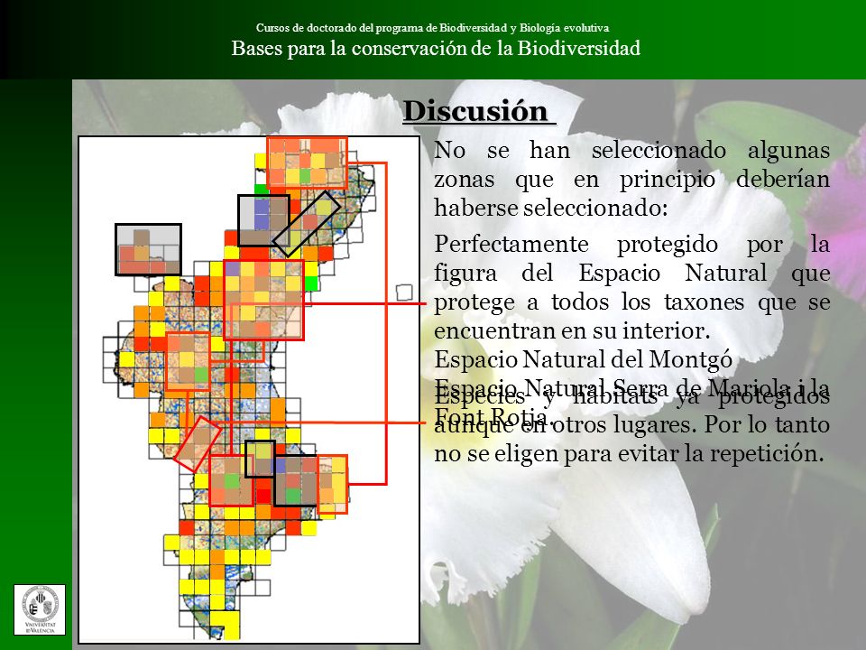 Cursos de doctorado del programa de Biodiversidad y Biología evolutiva