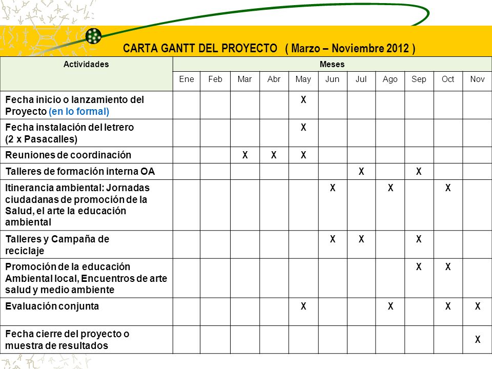 CARTA GANTT DEL PROYECTO ( Marzo – Noviembre 2012 )