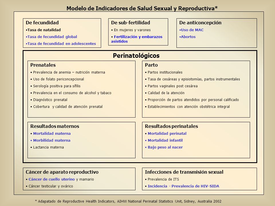 Modelo de Indicadores de Salud Sexual y Reproductiva*