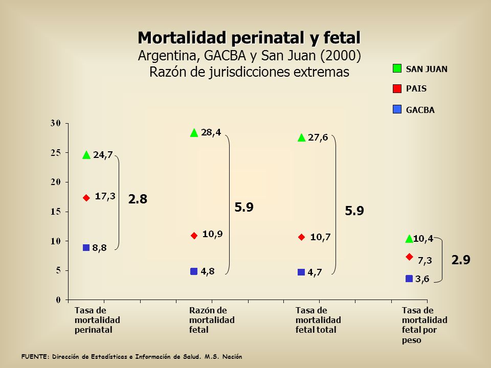 FUENTE: Dirección de Estadísticas e Información de Salud. M.S. Nación