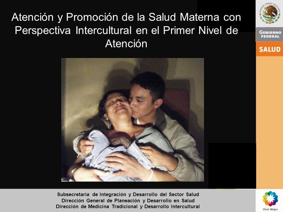 Atención y Promoción de la Salud Materna con Perspectiva Intercultural en el Primer Nivel de Atención