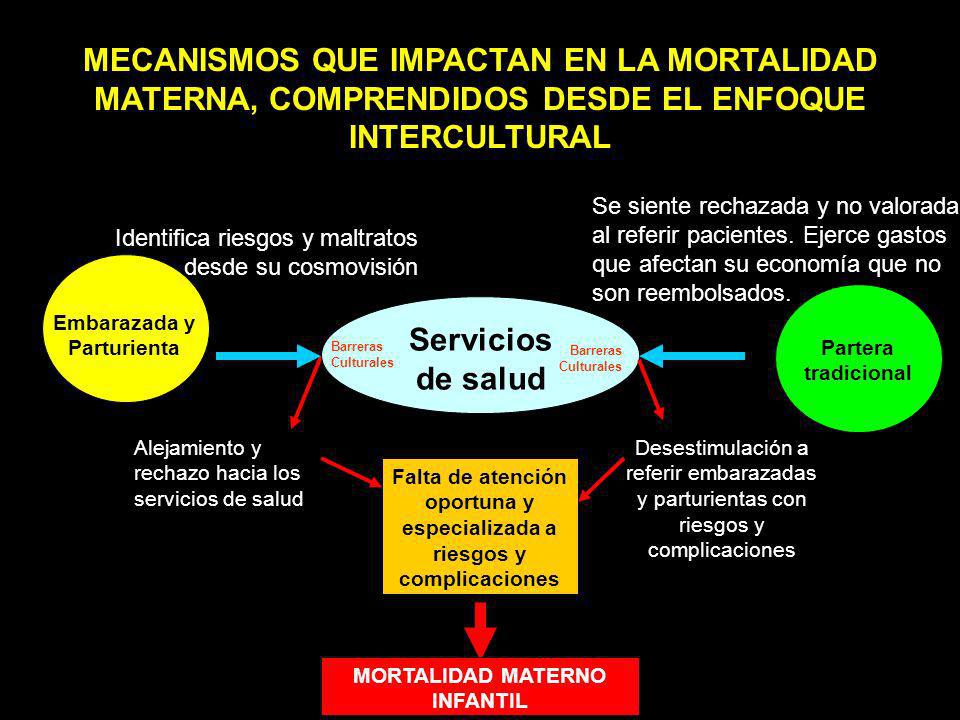 MECANISMOS QUE IMPACTAN EN LA MORTALIDAD MATERNA, COMPRENDIDOS DESDE EL ENFOQUE INTERCULTURAL