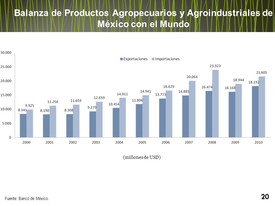 Balanza de Productos Agropecuarios y Agroindustriales de México con el Mundo