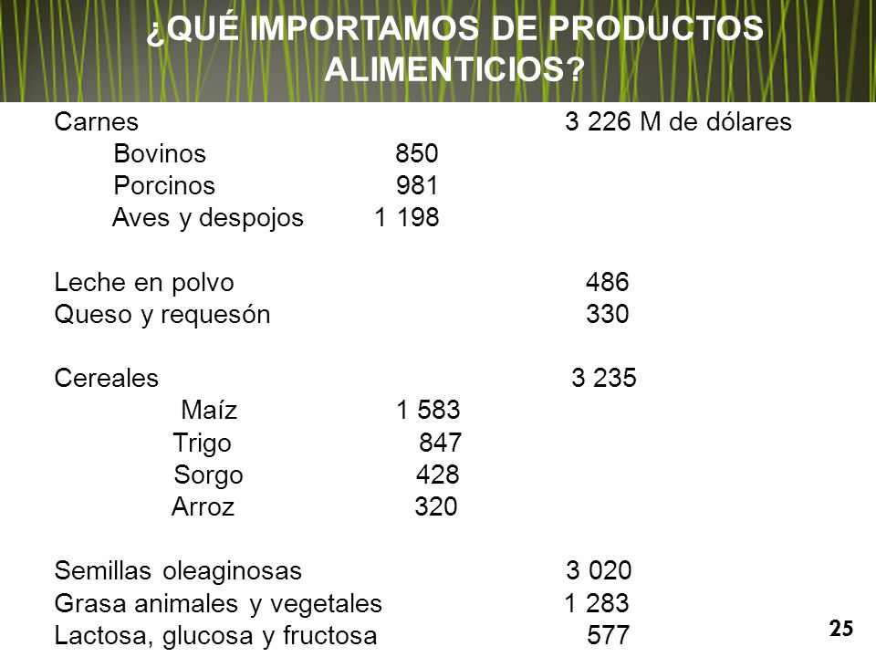 ¿QUÉ IMPORTAMOS DE PRODUCTOS ALIMENTICIOS