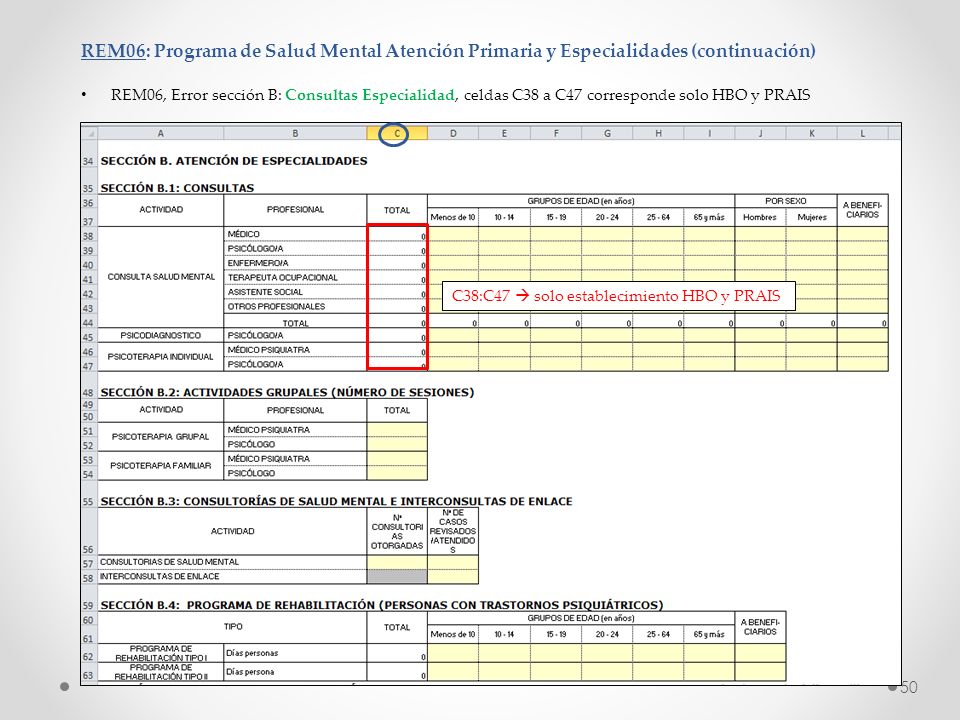REM06: Programa de Salud Mental Atención Primaria y Especialidades (continuación)