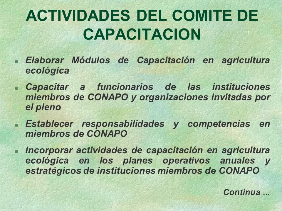 ACTIVIDADES DEL COMITE DE CAPACITACION