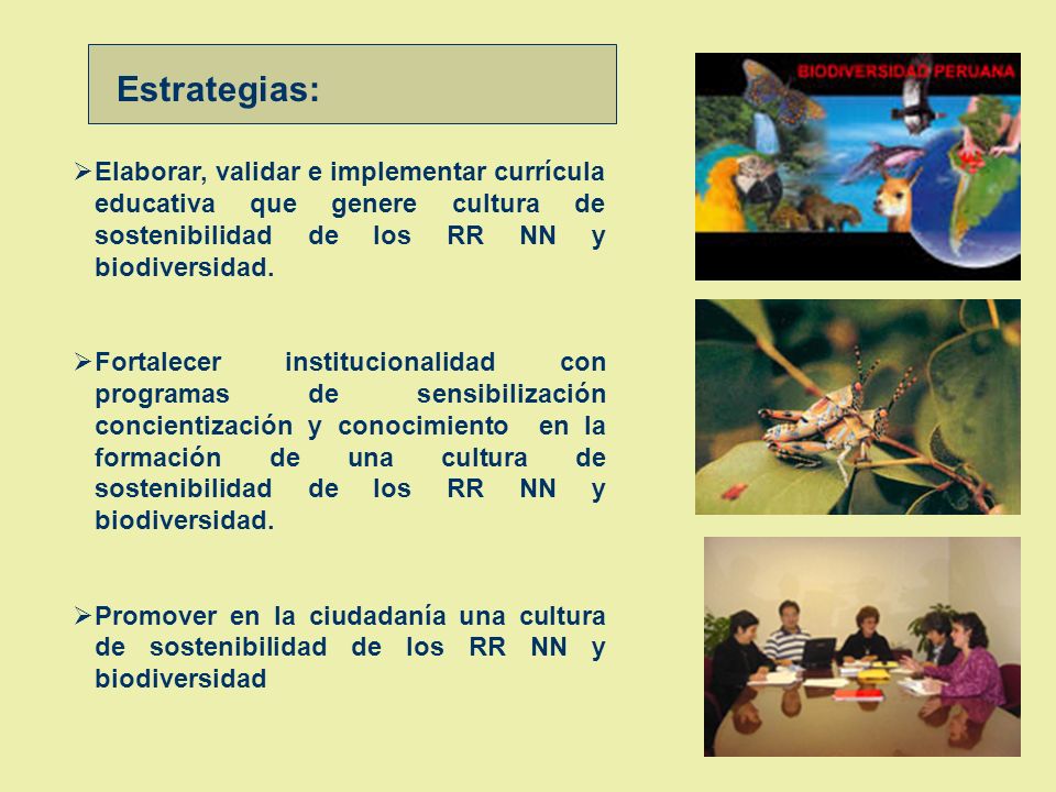Estrategias: Elaborar, validar e implementar currícula educativa que genere cultura de sostenibilidad de los RR NN y biodiversidad.