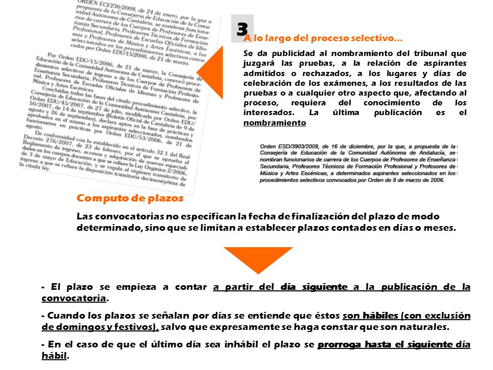 3 Computo de plazos A lo largo del proceso selectivo...