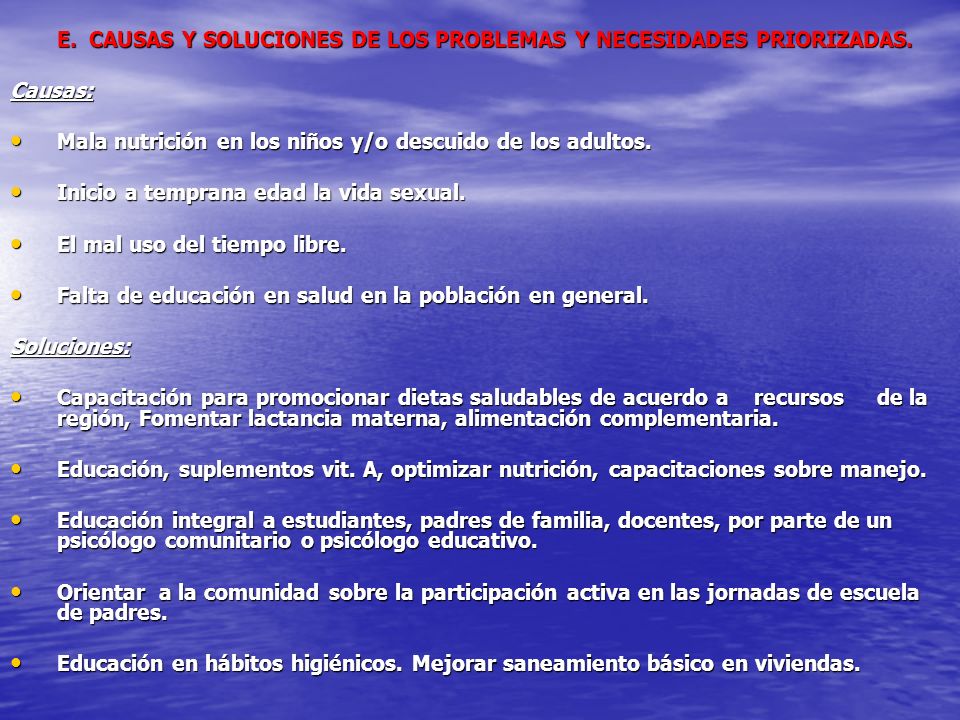 E. CAUSAS Y SOLUCIONES DE LOS PROBLEMAS Y NECESIDADES PRIORIZADAS.