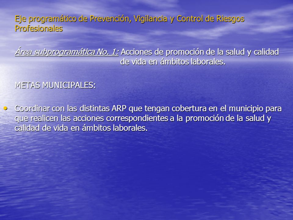 Eje programático de Prevención, Vigilancia y Control de Riesgos Profesionales