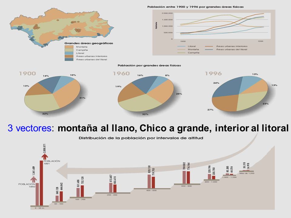 3 vectores: montaña al llano, Chico a grande, interior al litoral